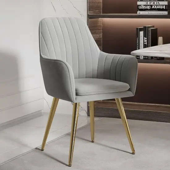 Modern Light Grey Velvet Dining Chair with Cushioned Seat, 2 Pieces