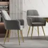 Modern Light Grey Velvet Dining Chair with Cushioned Seat, 2 Pieces