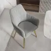 Modern Light Grey Velvet Dining Chair with Cushioned Seat, 2 Pieces