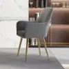 Modern Light Grey Velvet Dining Chair with Cushioned Seat, 2 Pieces