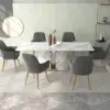 Modern Light Grey Velvet Dining Chair with Cushioned Seat, 2 Pieces