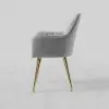 Modern Light Grey Velvet Dining Chair with Cushioned Seat, 2 Pieces