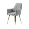 Modern Light Grey Velvet Dining Chair with Cushioned Seat, 2 Pieces