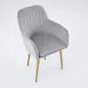 Modern Light Grey Velvet Dining Chair with Cushioned Seat, 2 Pieces