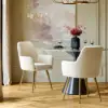 Modern Beige Velvet Dining Chair with Cushioned Seat, 2 Pieces – 127cm