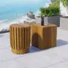 2 Pieces Rustic Round & Rectangle Teak Wood Outdoor Coffee Table Set in Natural