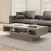Japandi Rectangle Concrete Grey Coffee Table with 2 Drawers & Open Storage