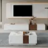 Vewal 120 cm Marble & Walnut Veneer Block Coffee Table with 2 Drawers