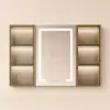 1000mm Black Wall-mount LED Lighted Bathroom Medicine Cabinet Vanity Mirror with Storage