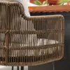 Grida 9-Piece Outdoor Teak & Resin Rattan Rectangular Dining Set with 8 Chairs