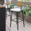 2 Pieces Outdoor Patio Teak & Aluminium 1050mm Bar Stools Set with Backs