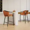 Cranis Orange Velvet Bar Stool with Upholstered, 1 Piece