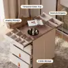 Chanor Modern Champagne Walk in Closet Island 6 Drawers Dresser & Chest Jewellery Storage