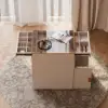 Chanor Modern Champagne Walk in Closet Island 6 Drawers Dresser & Chest Jewellery Storage