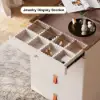 Chanor Modern Champagne Walk in Closet Island 6 Drawers Dresser & Chest Jewellery Storage