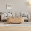 Stria 1200mm Modern Oval Natural Solid Wood Fluted Coffee Table with Storage – AUD-H0973