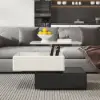 Modern Black & Khaki Lift Top Small Square Sintered Stone Coffee Table with Storage
