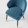 Arcora Blue Velvet Dining Chair with Upholstered, 4 Pieces