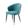 Arcora Greenish Blue Velvet Dining Chair with Upholstered, 4 Pieces
