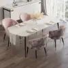 Arcora Pink Velvet Dining Chair with Upholstered, 4 Pieces