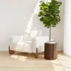 Modern 406 mm Walnut Fluted End table with Storage