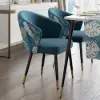 Arcora Blue Velvet Dining Chair with Upholstered, 2 Pieces
