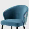 Arcora Blue Velvet Dining Chair with Upholstered, 2 Pieces