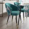 Arcora Greenish Blue Velvet Dining Chair with Upholstered, 2 Pieces