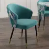 Arcora Greenish Blue Velvet Dining Chair with Upholstered, 2 Pieces