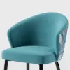 Arcora Greenish Blue Velvet Dining Chair with Upholstered, 2 Pieces