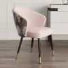 Arcora Pink Velvet Dining Chair with Upholstered, 2 Pieces
