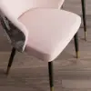 Arcora Pink Velvet Dining Chair with Upholstered, 6 Pieces