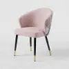 Arcora Pink Velvet Dining Chair with Upholstered, 8 Pieces