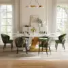 Arcora Green Velvet Dining Chair with Upholstered, 2 Pieces