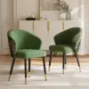 Arcora Green Velvet Dining Chair with Upholstered, 2 Pieces