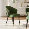 Arcora Green Velvet Dining Chair with Upholstered, 8 Pieces