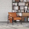 Modern Faux Leather Lounge Accent Chair with Metal Frame, Set of 2