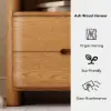 Arvona Modern Natural Wooden 2-Drawer Nightstand with Sintered Stone Top
