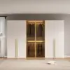 Minimalist and Luxurious 6-Door Wardrobe with Glass Display and Lighting