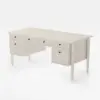 Mid Century Modern 163 cm Rectangular Whitewash Wood Desk with 6 Drawers