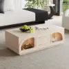 Arune 120 cm Arched Glass Doors Coffee Table with Storage and LED – Black – AUD-H2003