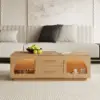 Arune 120 cm Arched Glass Doors Coffee Table with Storage and LED – Natural
