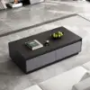 Fero Mid Century 1200 mm Gray Rectangular Coffee Table with 4 Drawers