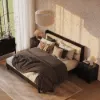 Modern Queen Black Platform Bed with Boucle Headboard Pillows