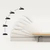 Tevara Outdoor Teak & Aluminium Adjustable Lounge Chaise in Sand