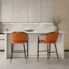 Cranis Orange Velvet Counter Stool with Upholstered, 1 Piece