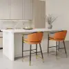 Cranis Orange Velvet Counter Stool with Upholstered, 1 Piece