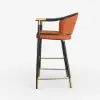Cranis Orange Velvet Counter Stool with Upholstered, 1 Piece