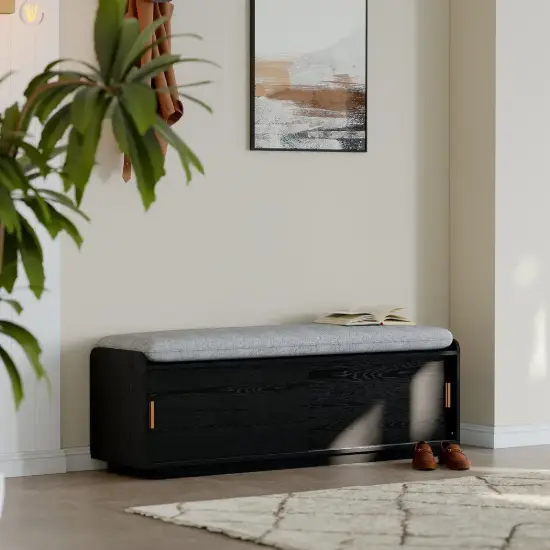 Black Shoe Storage Bench with Cushion