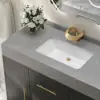 1000mm Freestanding Black Bathroom Vanity, Sintered Stone Countertop & Gold Handles